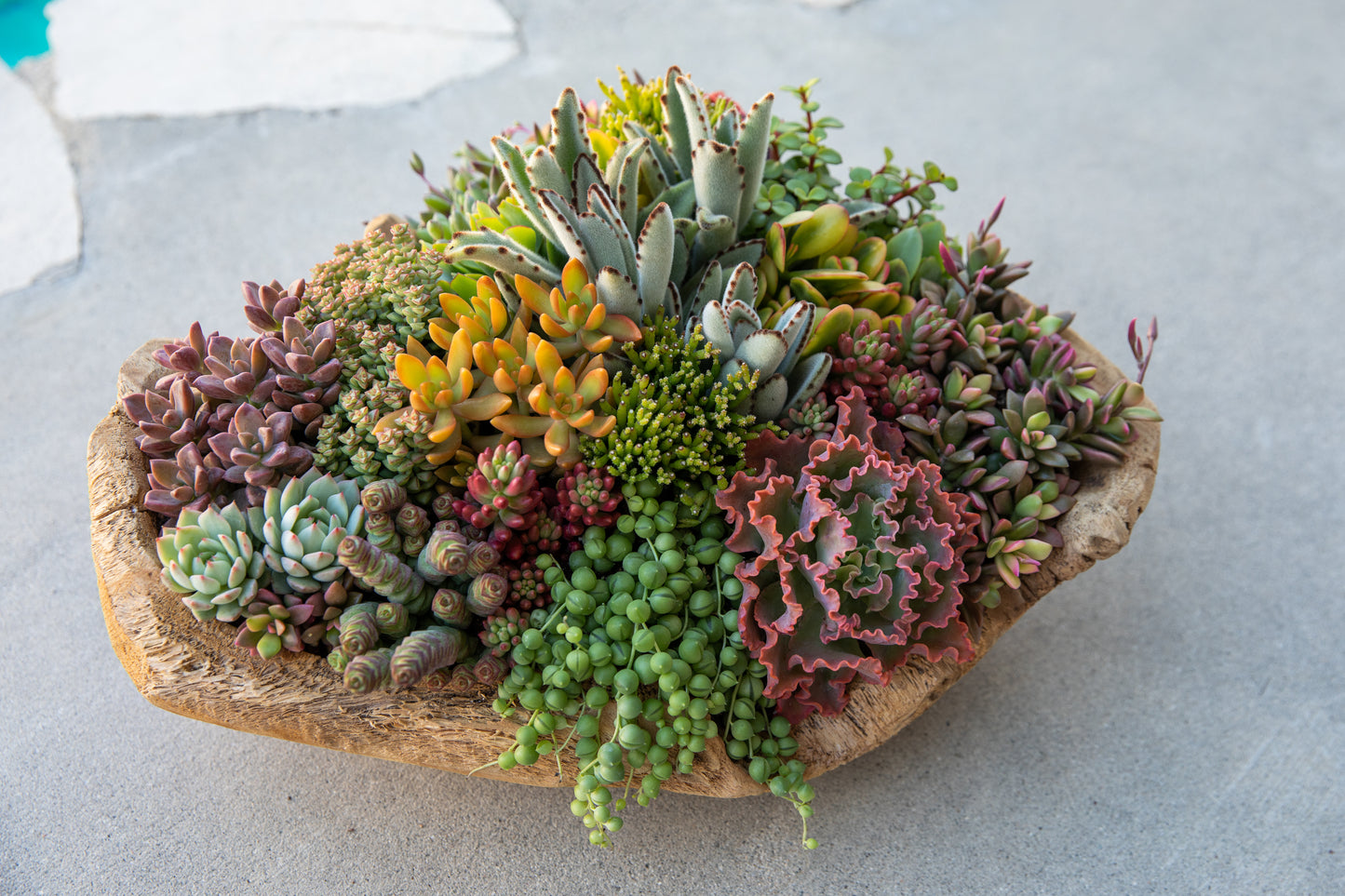Wooden Bowl Arrangement