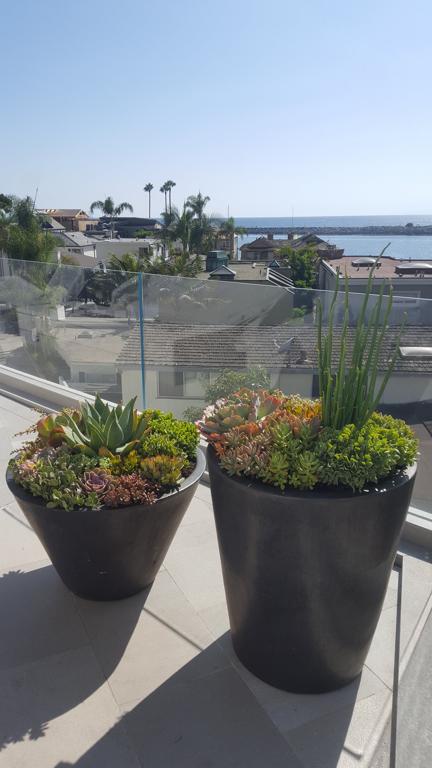 Exterior Potted Arrangement