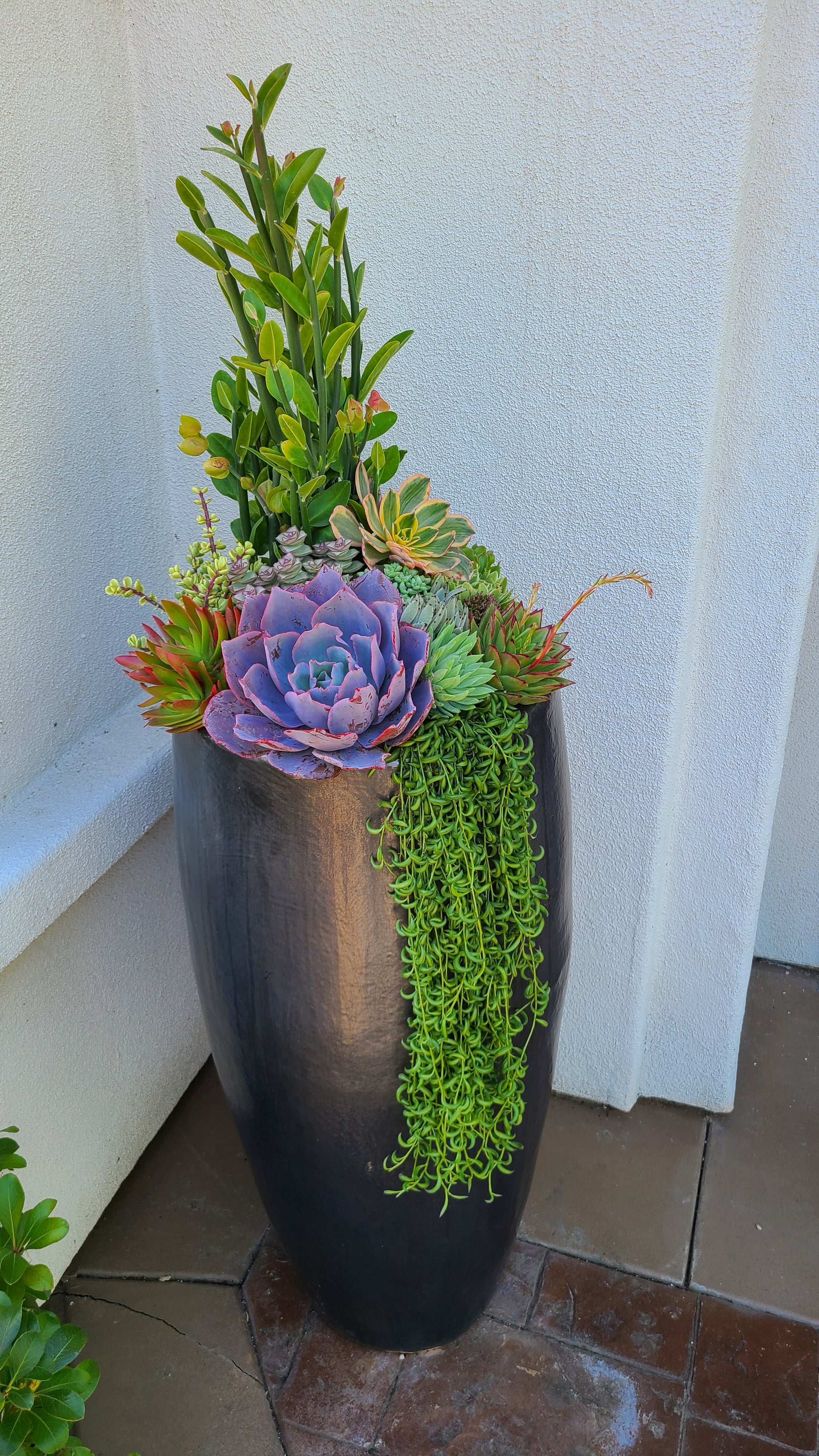 Exterior Potted Arrangement – Gift A Succulent